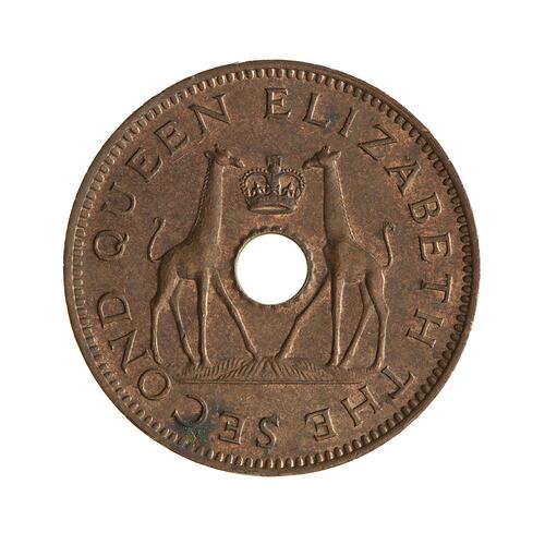 Coin - 1/2 Penny, Rhodesia & Nyasaland (Zimbabwe), 1964