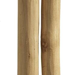 Fire utensil, Australia, West Cape York
