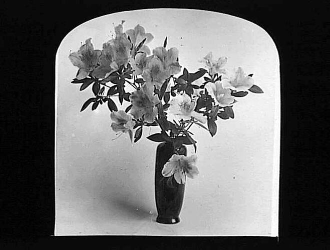 Lantern Slide