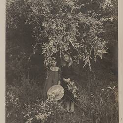 Photograph - Coastal Tee-Tree, by A.J. Campbell, Victoria, circa 1895