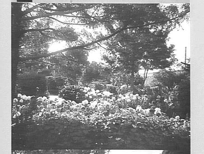 SUNSHINE GARDENS: APRIL 1934