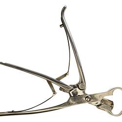 Tonsil Guillotine