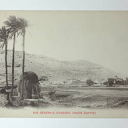 Postcard - Assiut, Egypt, Peile Brothers, World War I, 1914-1916