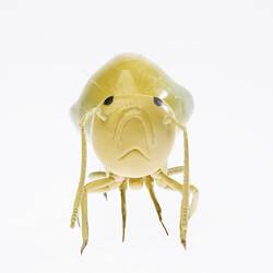 Model - Lucerne Flea, Magnified X50, 1956
