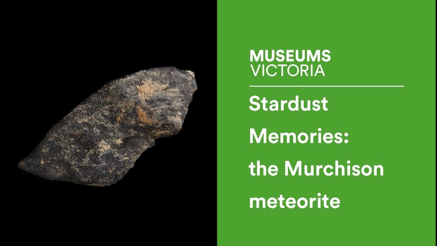 Stardust memories: 50 years of the Murchison meteorite