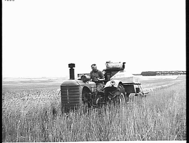 MR. F. M. FUNSTON, `SPRINGVANK', LINTON, VIC., NO. 4 HEADER AND 55K TRACTOR IN 10-BAG CROP OF QUADRAT WHEAT: JAN 1953
