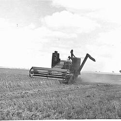 Photograph - H.V. McKay Massey Harris, Farm Equipment Manufacture & Field Trials, St Arnaud, Victoria, Jan 1955