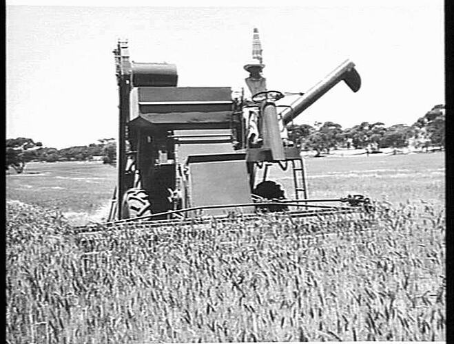 "NO. 510 EXP HEADER AT MURTOA: DEC 1955"