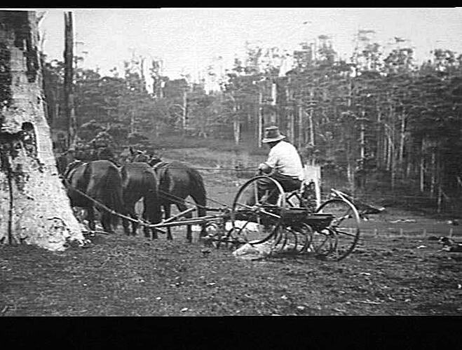 "`SUNPALM' STUMP-JUMP PASTURE RENOVATOR WORKING AT A DEMONSTRATION ON THE NORTH COAST OF N.S.W. (SHOWS THE MACHINE GOING OVER A ROOT 12 INCHES HIGH): DEC 1930"