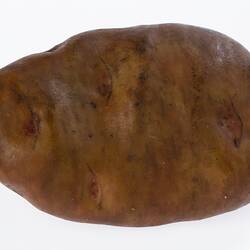 Irregularly shaped light brown model of a potato.