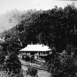 Negative - Woods Point, Victoria, circa 1905