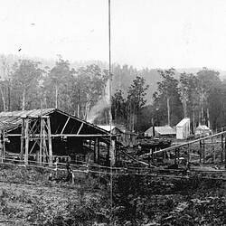 Negative - Neerim District Timber Mill, Victoria, circa 1910