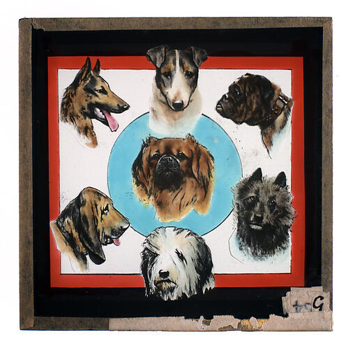 Lantern Slide - Universal Opportunity League, Seven Dogs