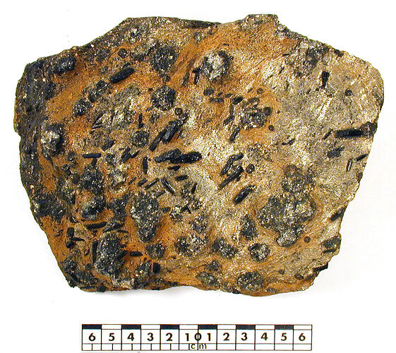 Orange and black speckled rock beside scale bar.