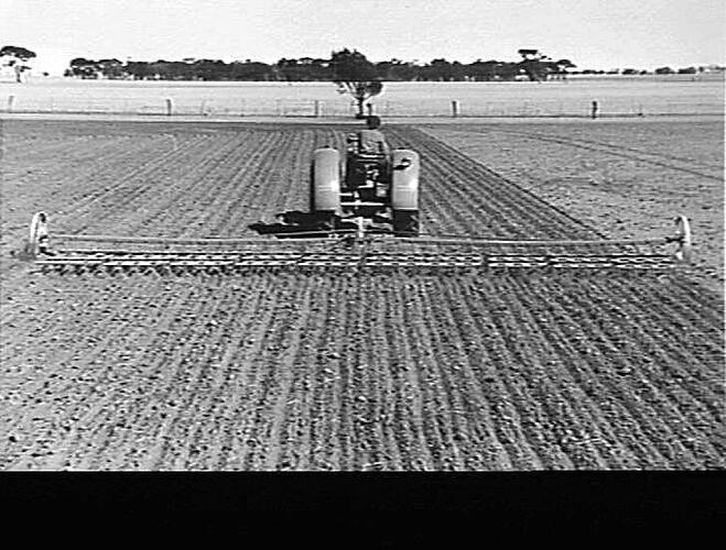 "10-SECTION SET OF SUNJUMP HARROWS, DRAWN BY SUNSHINE MASSEY HARRIS TRACTOR WORKING THE LANDS OF MR. C.L. HAND, BRIM, VICTORIA, APRIL 1949"