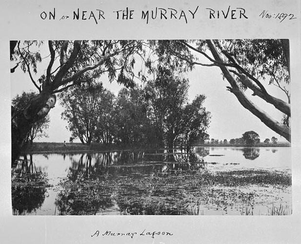 On ... near the Murray River. A Murray Lagoon.