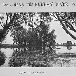 Photograph - by A.J. Campbell, Murray River, Victoria, Nov 1892