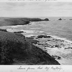 Photograph - 'Scene from Red Cliff Rookery', by A.J. Campbell, Phillip Island, Victoria, Mar 1902