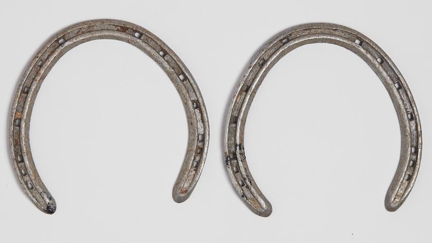 Two metal horse shoes.