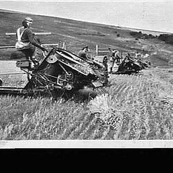 Photograph - H.V. McKay Massey Harris, Farm Equipment Manufacture & Field Trials, Australia, 1943