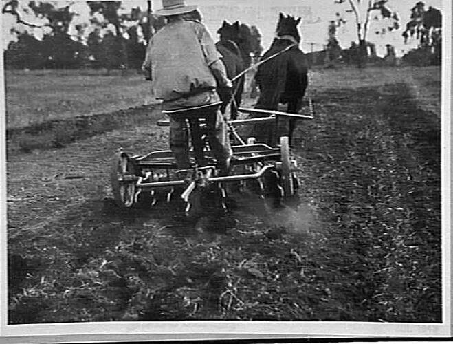 Photograph - H. V. McKay factory and/or equipment