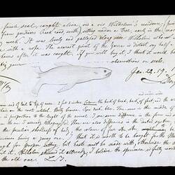 Handwritten notes and sketch of a seal.