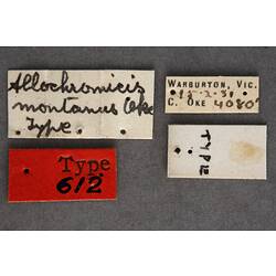 Handwritten specimen labels.