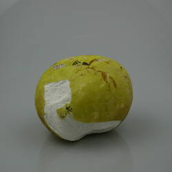 Wax model of a green apple. One side damaged to reveal white wax.