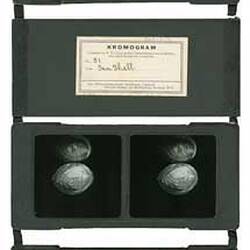Set of Glass Slides - Kromskop Viewer Set, Kromogram, Sea Shell, About 1895