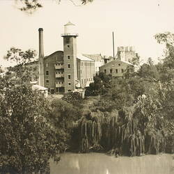 Photograph - Exterior View of Factory Site, Trees and Yarra River, Kodak, Abbotsford, early 20th century