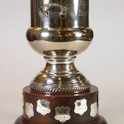 Metal trophy cup with wood base.