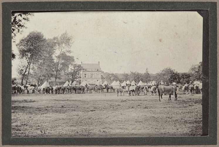 Horses and tents on a large grass lawn with a house and trees in the background.