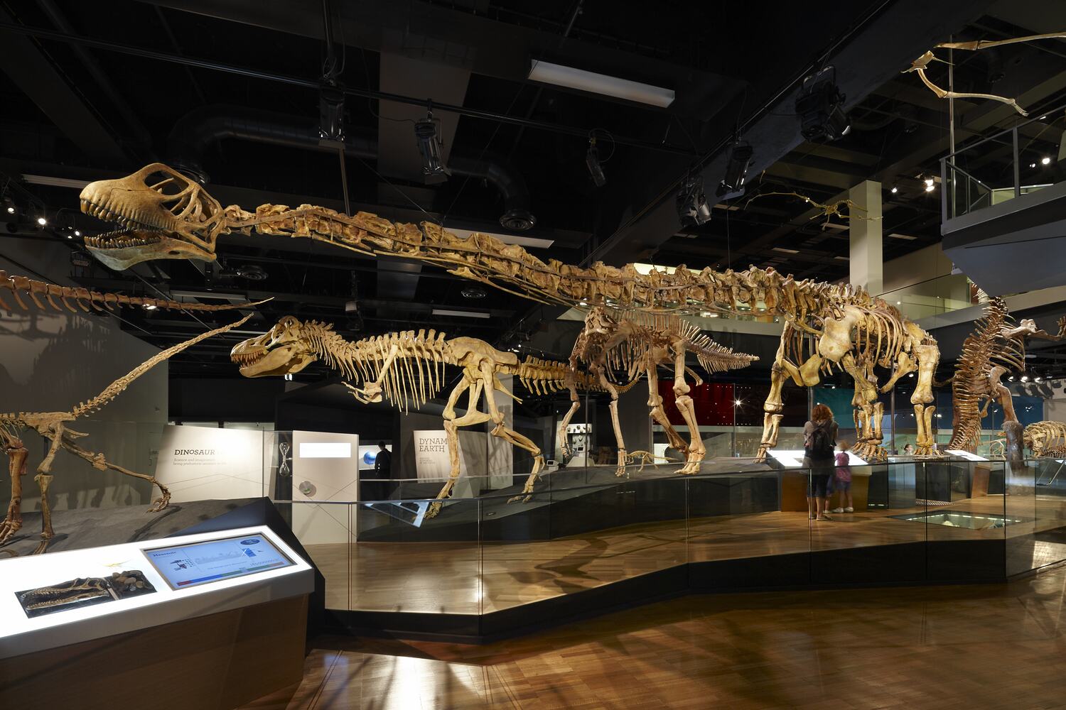 mamenchisaurus-hochuanensis