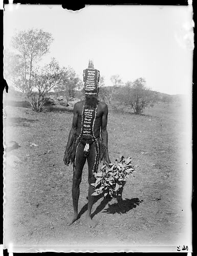 Performers decorated for Arrernte corroboree, Alice Springs, Central Australia, 1901