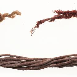 Neck ornament, Australia, Gulf