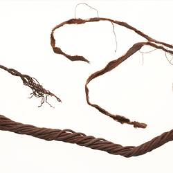 Neck ornament, Australia, Gulf