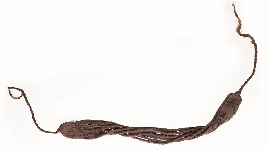 Neck ornament, Australia, Gulf