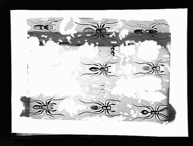 Negative - Glass