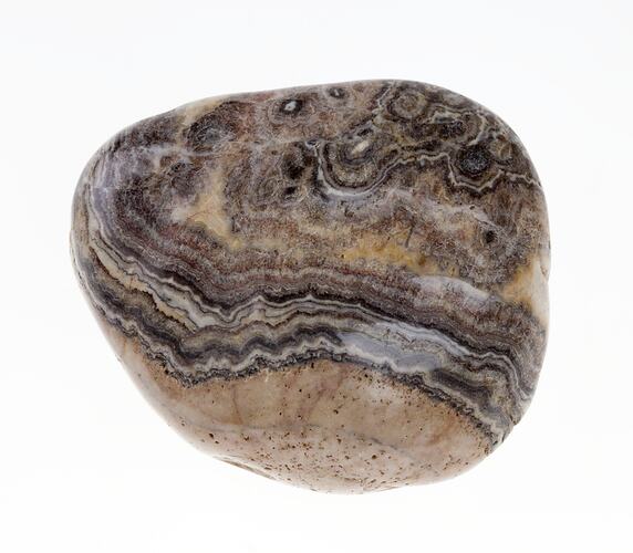 Brown agate pebble with black and white bands.