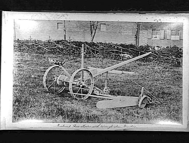 Photograph