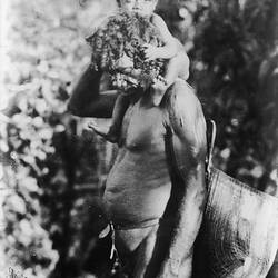 Photograph. Rainforest, Queensland, Australia. c.1900