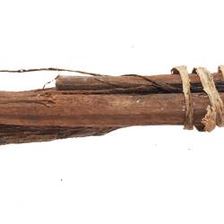 Brush, Australia, Northeastern Arnhem Land