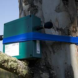 Green box with micorphones strapped to tree with blue band.