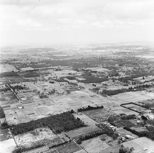 Negative - Aerial View of a Suburb & Rural Landscape, Victoria, circa 1958