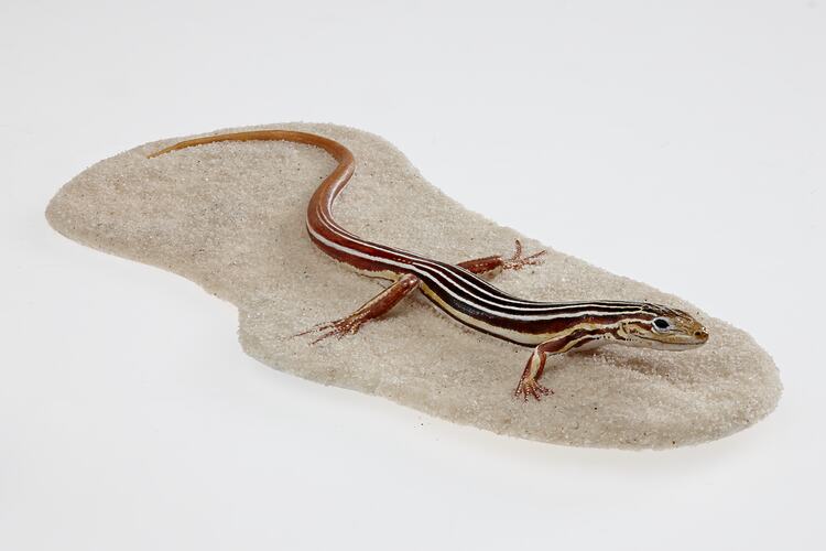 Cast model of brown lizard with bold white stripes.