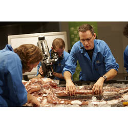 Giant squid on table surrounded by men wearing blue overalls.