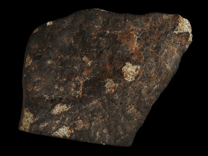 Holbrook Meteorite. [E 4962]