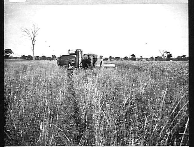 HEADER WORKING ON MR. SCHULTZ'S FARM, CULCAIRN, N.S.W.: 1918