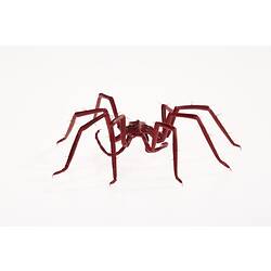 Back of model of reddish-pink sea spider.