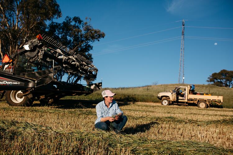 Farmer Marlee Langfield in paddock with farming vehicles, Wallaringa Farm, Cowra, NSW, 22 Oct 2018